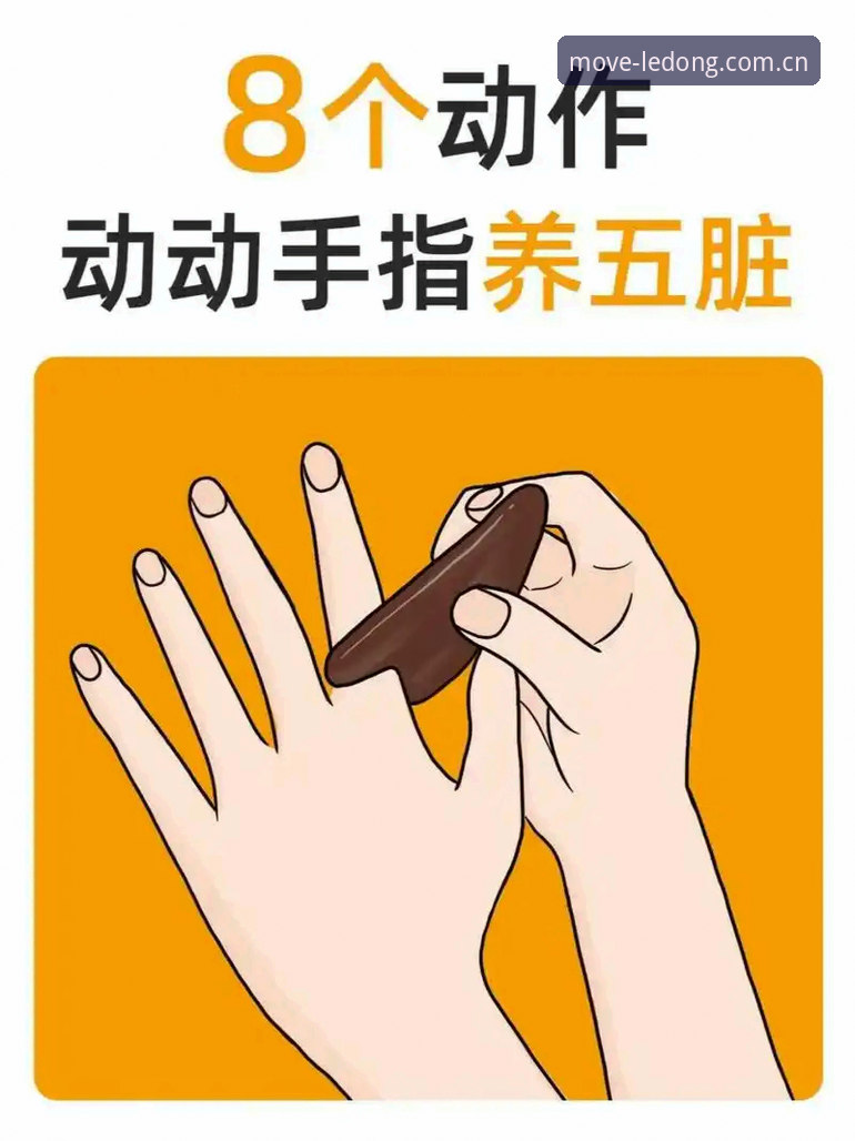 乐动体育操作最新动态：新手快速上手指南与实用技巧全解析
